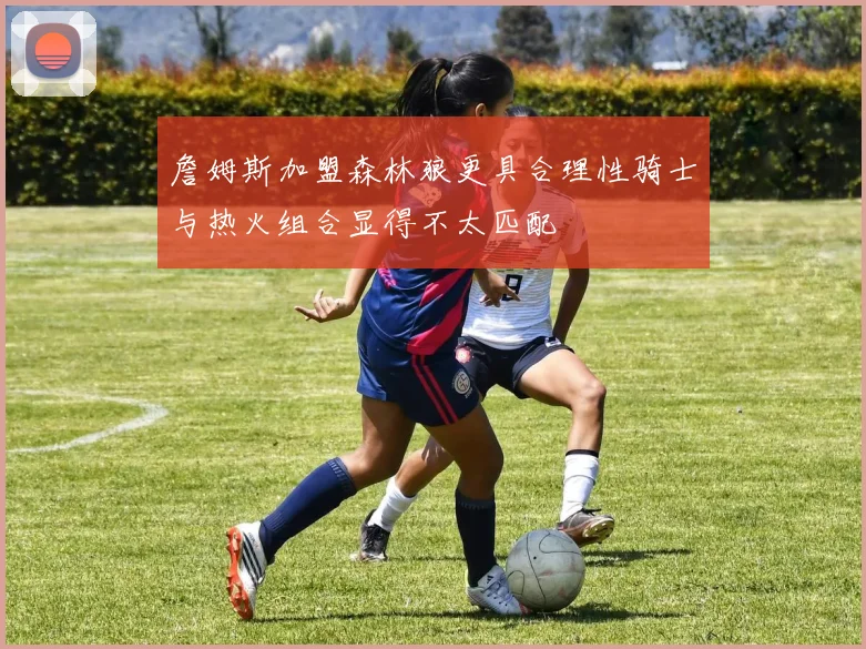 詹姆斯加盟森林狼更具合理性骑士与热火组合显得不太匹配