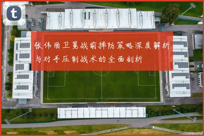 张伟丽卫冕战前摔防策略深度解析与对手压制战术的全面剖析